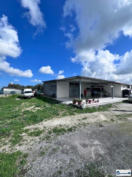 PHOTO-2025-03-05-14-44-27 (5).jpg